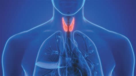 Why Do I “almost” Have An Underactive Thyroid Harvard Health