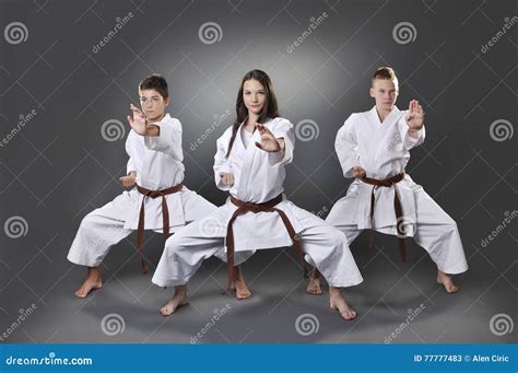 One Female and Two Male Brown Belt Karate Doing Kata Stock Image ...