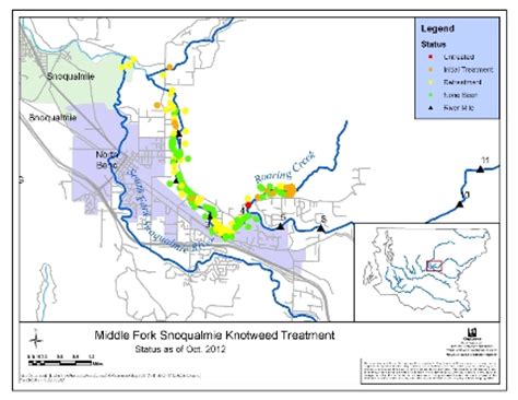 Middle Fork Snoqualmie River Knotweed Control Project - King County ...