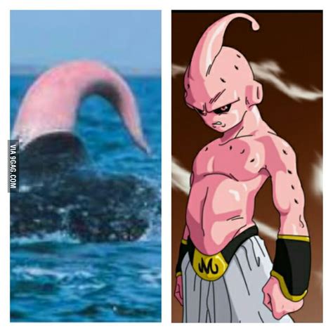 Now I Know What Is That Thing On Majin Buu S Head 9gag