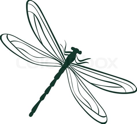 Billedresultat For Guldsmed Tegning Dragonfly Illustration Dragonfly