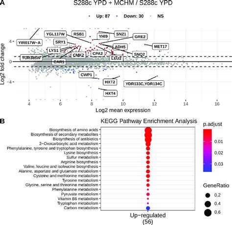 Rna Seq Gene Expression Data Ma Plot A Kegg Pathway Enrichment