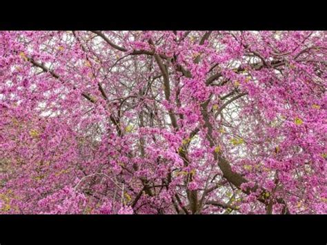 Picnic A Pasquetta A Due Passi Da Roma Il Posto Perfetto Per Una