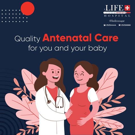 Antenatal Care Antenatal Gynecology Hospital