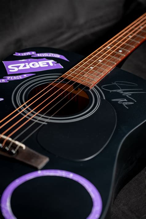 Charitybuzz: Shawn Mendes Signed Guitar - Lot 1694803