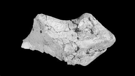 133 million-year-old dinosaur brain fossil found in England