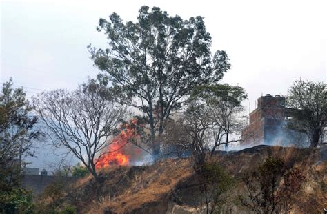 Quema Una Hectárea Y Media De Pastizales Un Incendio En Chilpancingo