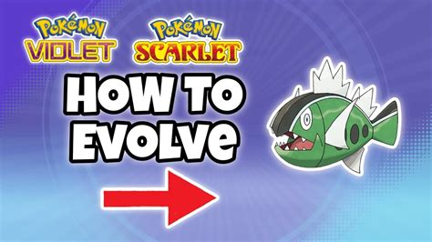 How To Evolve Hisuian Basculin Pokemon Violet And Scarlet Youtube