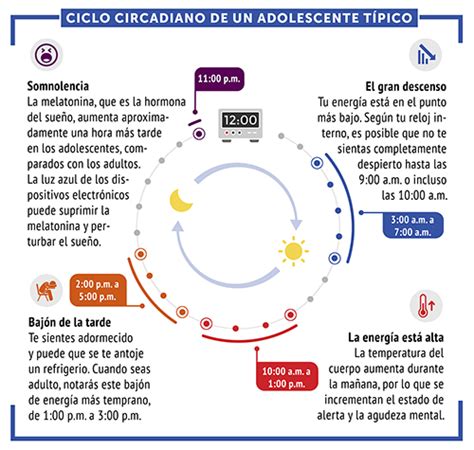 El Manual De La Cronobiolog A Y Los Ritmos Circadianos Duerme Bien