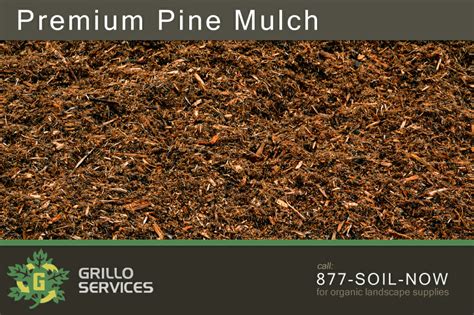 Red Mulch: Red Mulch Vs Bark Mulch