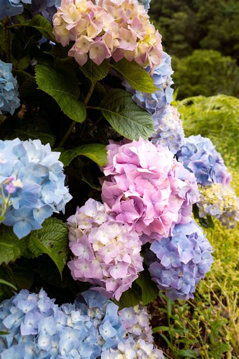 The Ultimate Guide to Spending 3 Epic Weeks in Madeira, Portugal