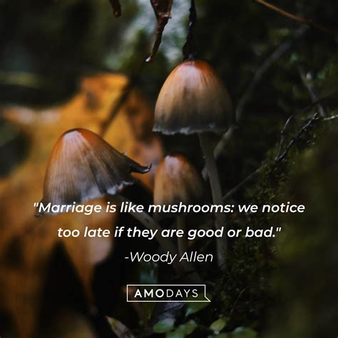 35 Mushroom Quotes Enter The Hidden Universe Of Magical Fungi