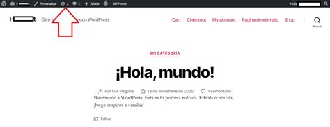 Esconder La Barra De Admin Para Los Usuarios En Wordpress Essentecla