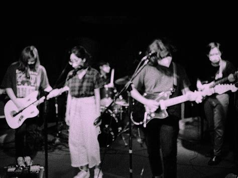 Shoegaze Bands Ozzga and Polar Lows Release Awesome Split Record ...