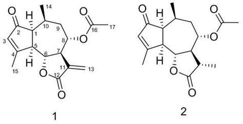 一种愈创木内酯类化合物及其制备方法和应用