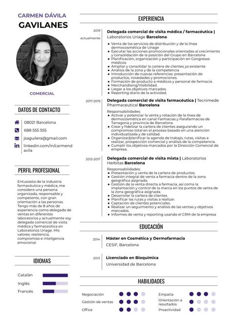 Curr Culum Para Comercial O Profesional De Ventas Plantilla De Cv