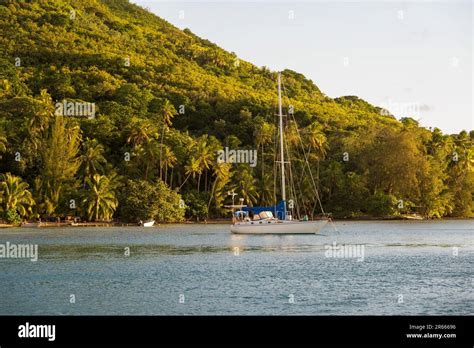 Bora Bora French Polynesia Feb 3 2023photo Of A Sailboat Anchored