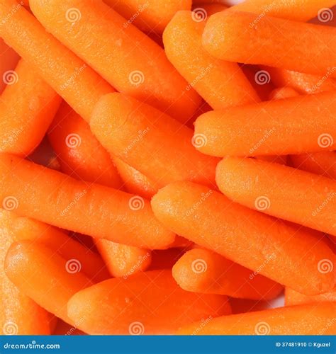 Fresh Organic Baby Carrots Stock Photo Image Of Leaf 37481910