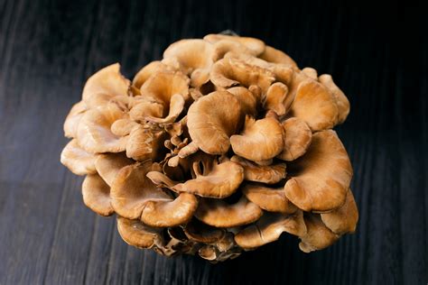 Best Shiitake Mushroom Substitutes For Cooking Tastylicious