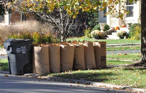 Place Fall Leaves In Eco Friendly Paper Bags For Collection By