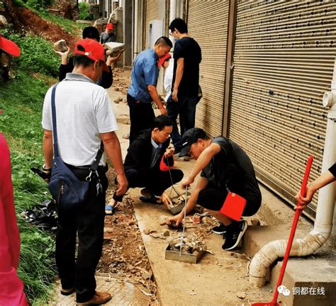 【我为群众办实事专栏】在职党员双报到 服务群众“零距离”社区