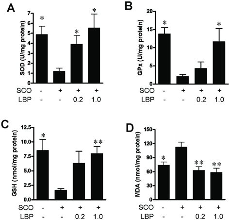 Anti Oxidative Effects Of LBP In Hippocampus The SOD A GPX B