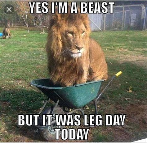 Zero Squat Leg Day Leg Day Memes Workout Humor Gym Memes Funny