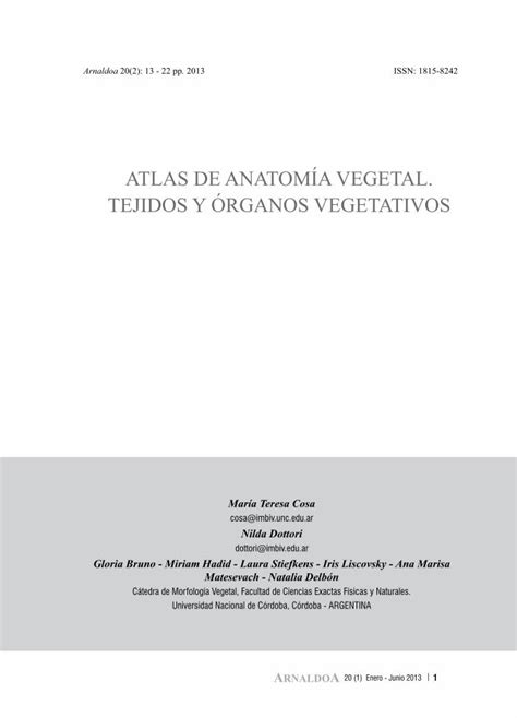 Pdf Atlas De Anatom A Vegetal Tejidos Y Rganos Dokumen Tips