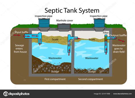 Septic Tank diagram. Septic system and drain field scheme . An ...