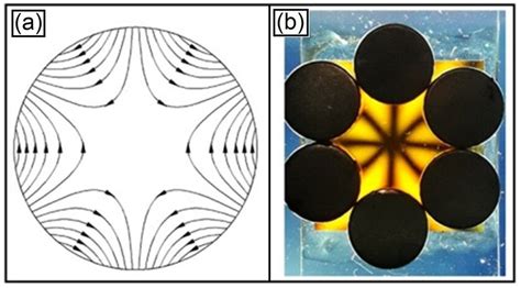 Diagrams Of Magnetic Fields And Light Patterns Of A Dipole N 1 Or Ns Download Scientific