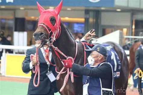 2022年・香港カップ パンサラッサ 現地写真 Pog一口馬主情報局