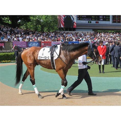 津田麻莉奈さんのインスタグラム写真 津田麻莉奈instagram「第86回日本ダービー🏇 勝ったのは1枠1番に入ったロジャーバローズ