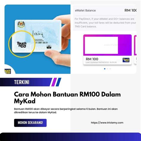 Bantuan RM100 Telah Dikreditkan Ke Dalam MyKad