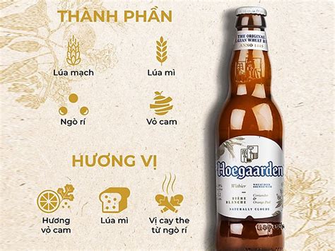 6 chai bia Bỉ Hoegaarden 330ml giá tốt tại Bách hoá XANH