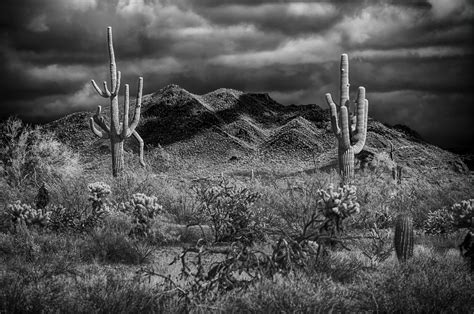 Phoenix Sonoran Desert Preserve Infrared Image Taken At Ap Flickr