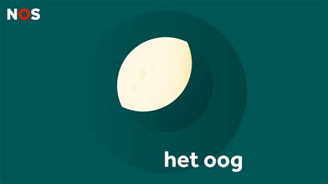 LIVE Voorprogramma NOS Met Het Oog Op Morgen Vanuit Leiden 8 Oktober