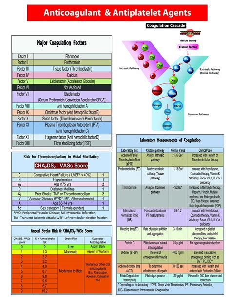 Anticoagulant Pocket Card Harilal Nair