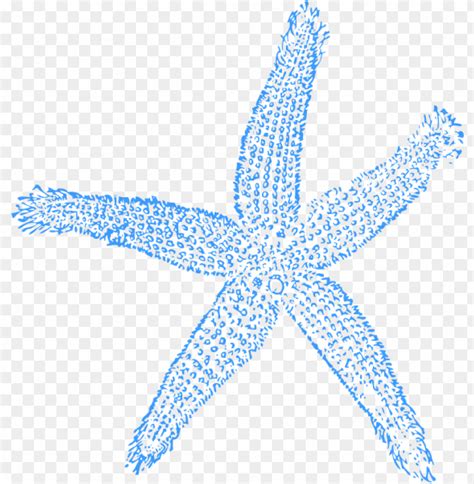 Blue Starfish Clip Art