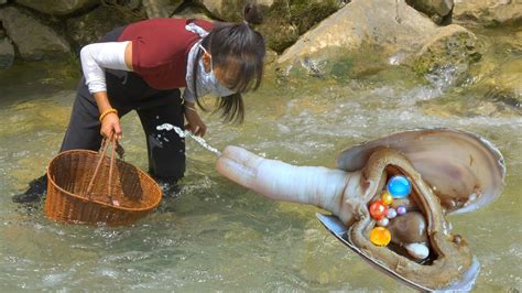 Miracle Appeared The Girl Picked Up A Mutated Giant Clam Containing