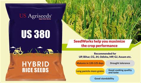 Hybrid Rice Seed Manufacturer We Seedwor Flickr