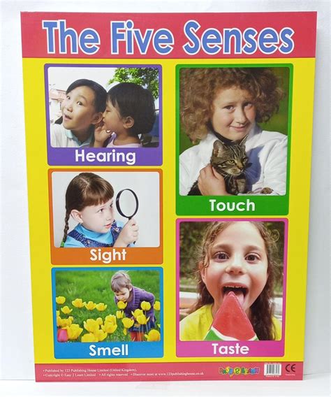 Charts - The Five Senses Chart