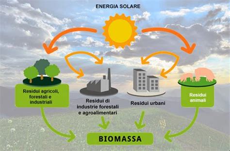 Cos La Biomassa E A Cosa Serve