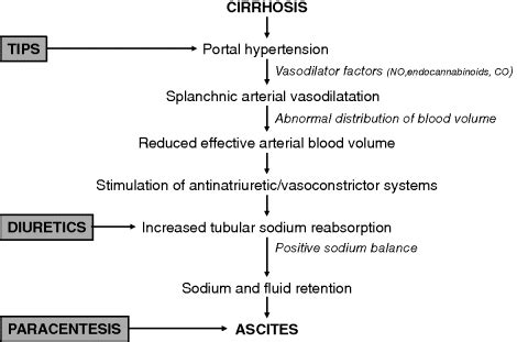 Pathophysiology Of Ascites In Cirrhosis