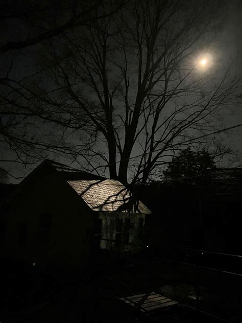 Thanks For Your Thoughts, Re-Imagining Bedlamfarm.com. And Maria's Moon