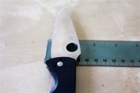 Knife Review: The Spyderco Tenacious