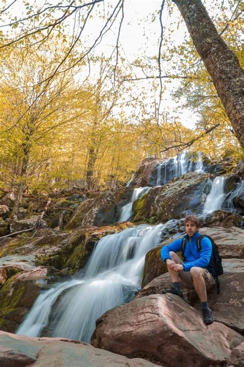 13 Unmissable Fall Foliage Views on Skyline Drive - The National Parks Experience