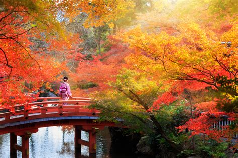 【2019年版】関西でおすすめの紅葉スポット：見頃の時期を紹介 おすすめ旅行を探すならトラベルブックtravelbook