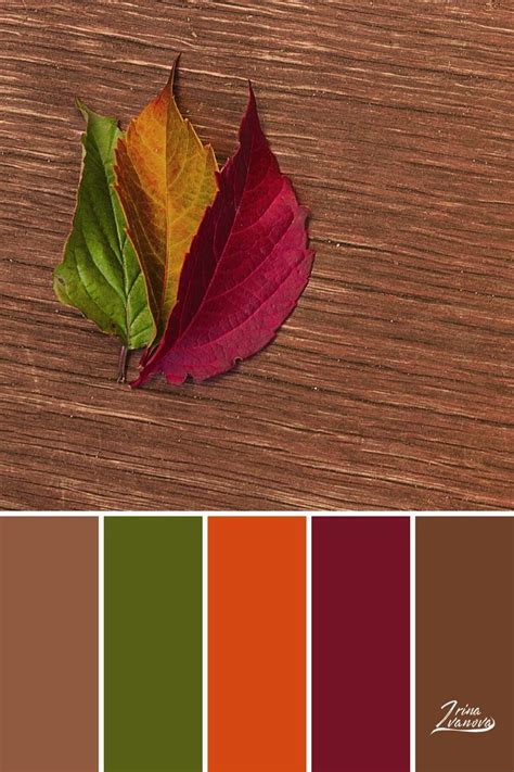 pin  hannia mendez  color palette warm color palette bright