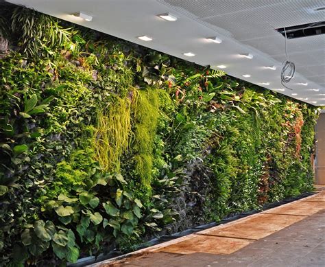 Купить фитостену, живую стену из растений по низкой цене в Nature Walls