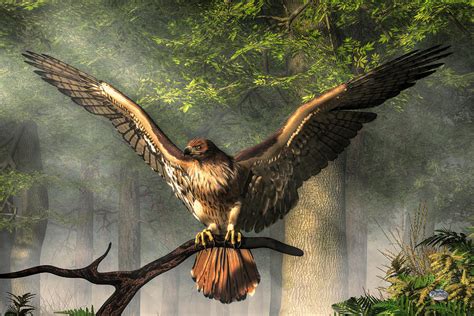 Red Tailed Hawk Digital Art By Daniel Eskridge Pixels